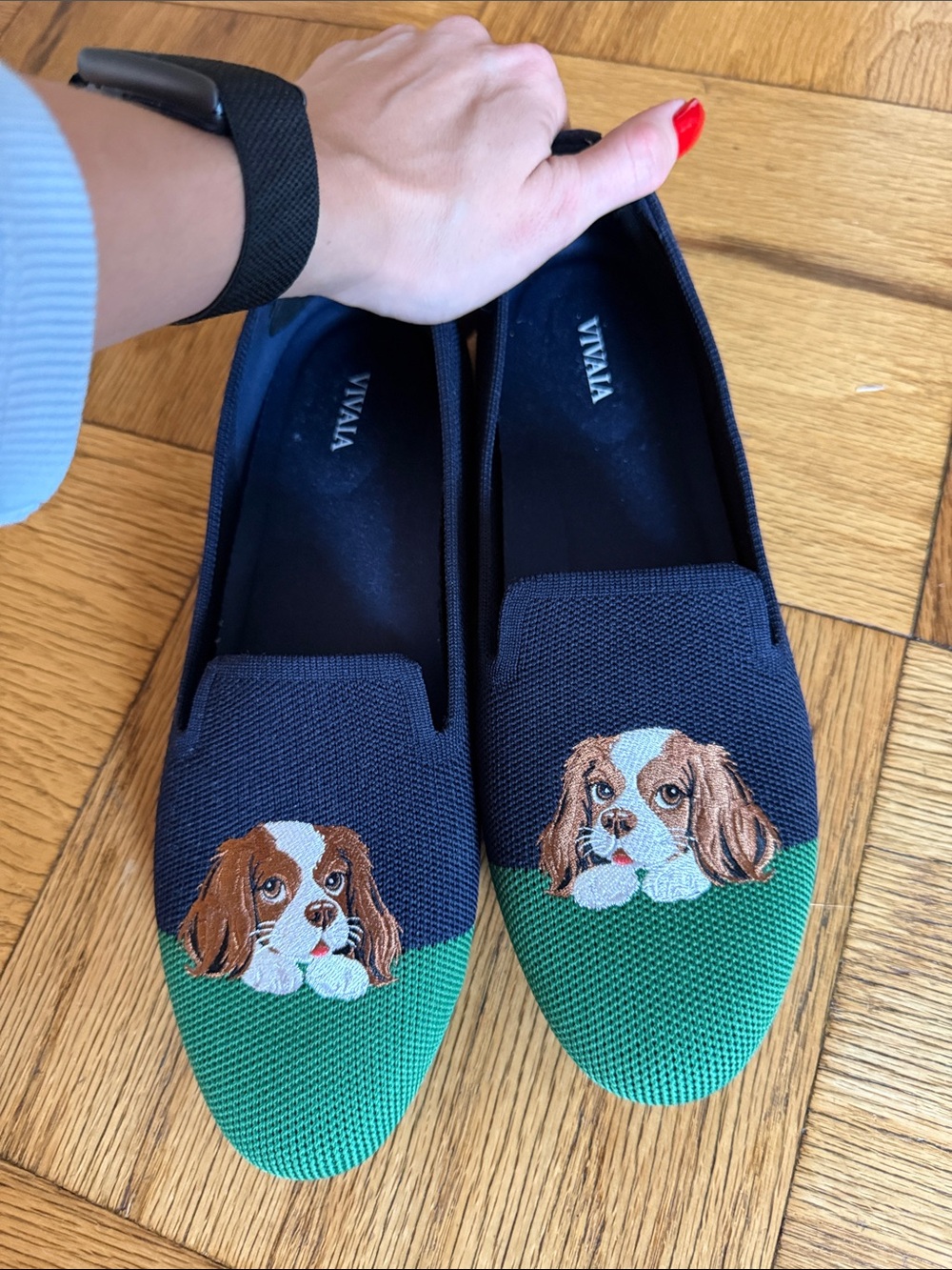 VIVAYA Navy & Green Embroidered Dog Loafers